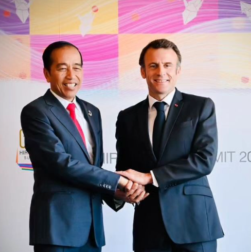 Prancis Investasi di Sektor Strategis, Jokowi Apresiasi Prancis