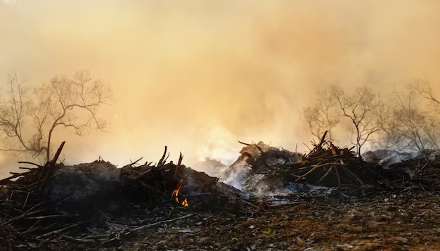 Kebakaran di Bukit Teletubbies Merembet Hingga Kabupaten Malang
